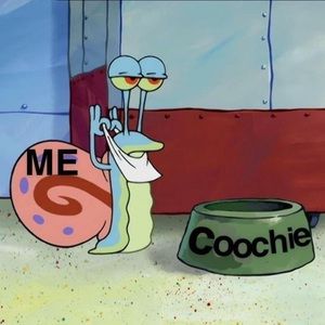 Meet your Posher, Dre